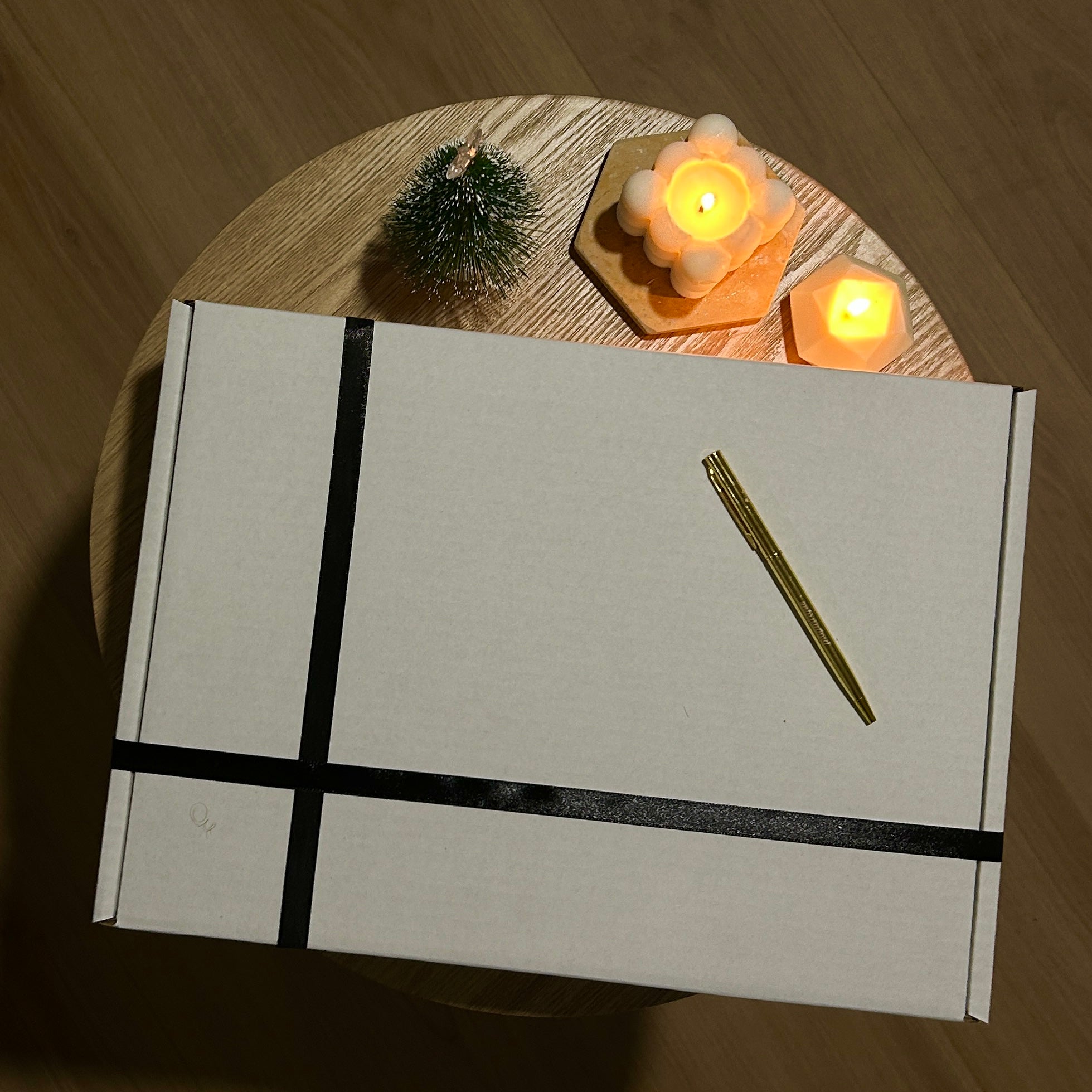 🎄 Plagnifique Christmas Box